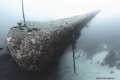   Bow Hilma Hooker Bonaire  